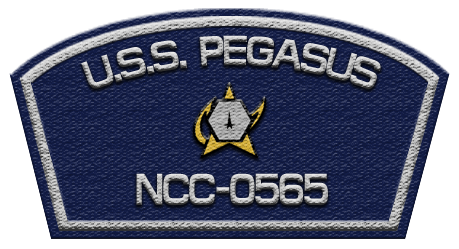 File:Pegasus patch.png