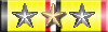 Combat Action Ribbon x12